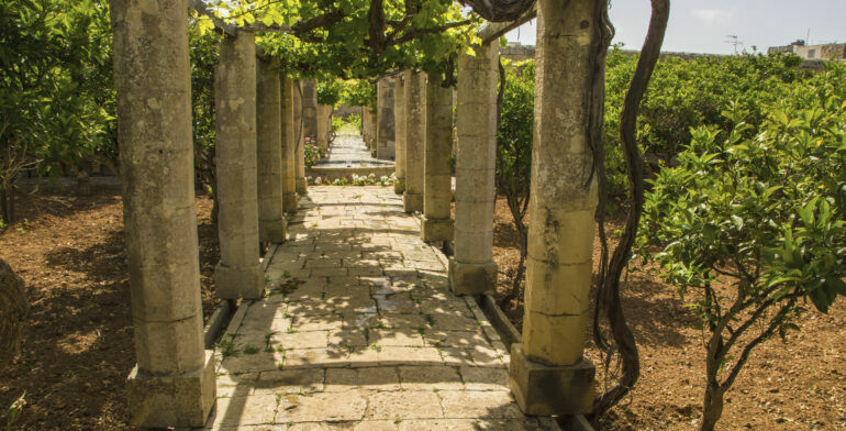 Special Interest Travel